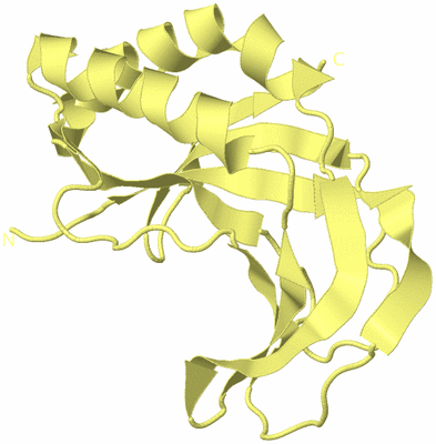 Image Biological Unit 4