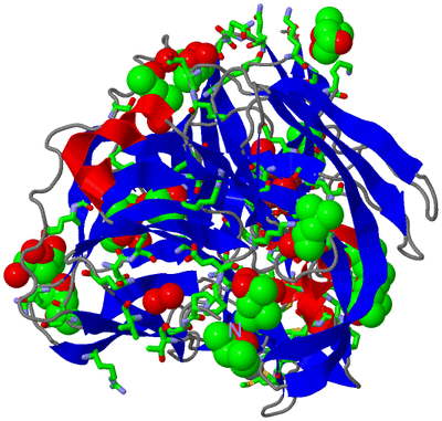 Image Asym./Biol. Unit - sites