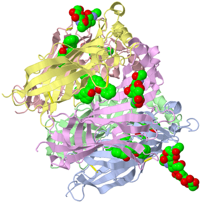 Image Asym./Biol. Unit