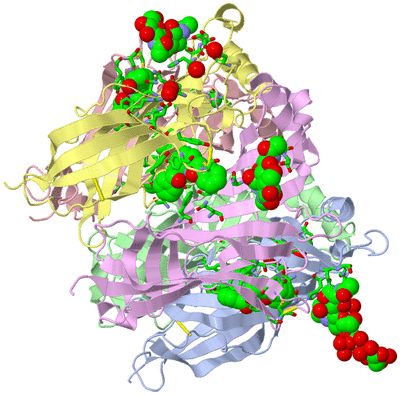 Image Asym./Biol. Unit - sites