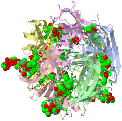 Image Asym./Biol. Unit - sites