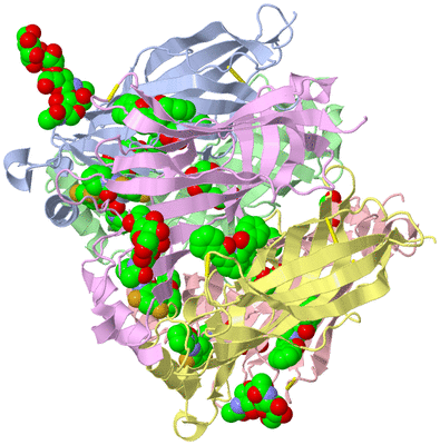 Image Asym./Biol. Unit