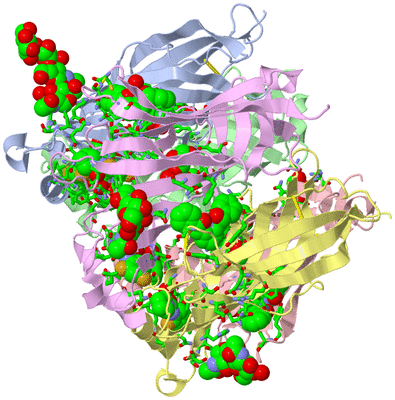 Image Asym./Biol. Unit - sites