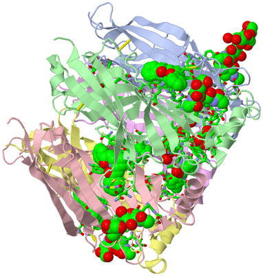 Image Asym./Biol. Unit - sites