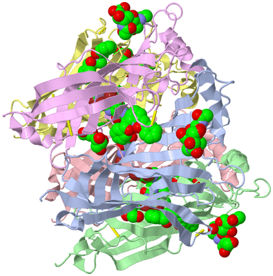 Image Asym./Biol. Unit