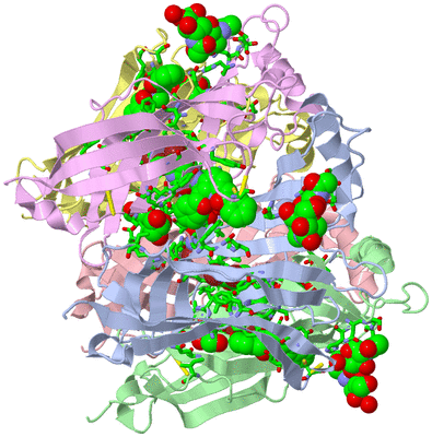 Image Asym./Biol. Unit - sites