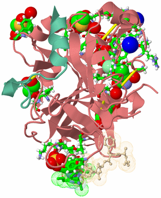 Image Asym./Biol. Unit - sites