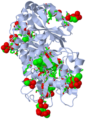 Image Biol. Unit 1 - sites