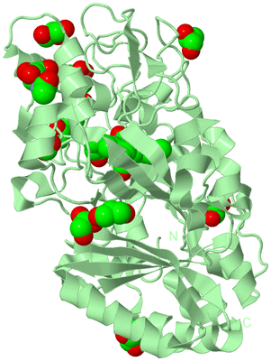 Image Biological Unit 2