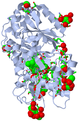 Image Biol. Unit 1 - sites