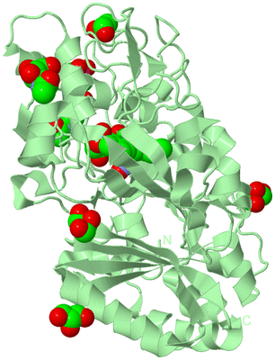 Image Biological Unit 2