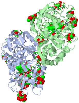 Image Asym. Unit - sites