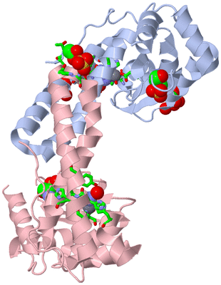 Image Asym./Biol. Unit - sites