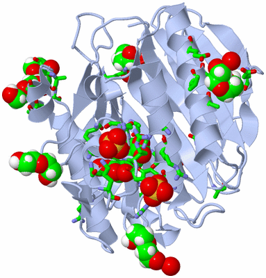 Image Biol. Unit 1 - sites