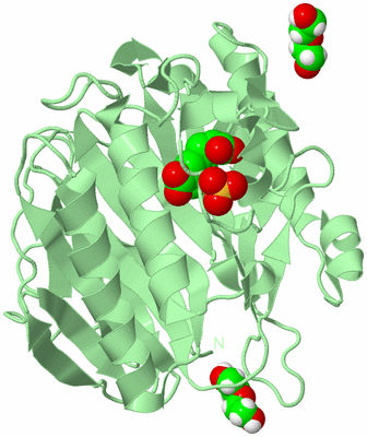 Image Biological Unit 2