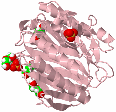 Image Biological Unit 3