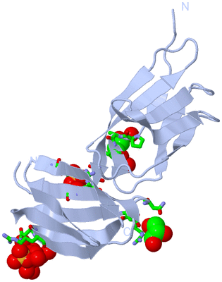 Image Biol. Unit 1 - sites