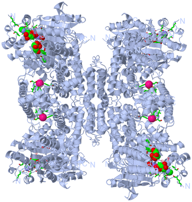 Image Biol. Unit 1 - sites