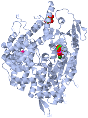 Image Biological Unit 2