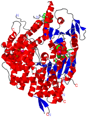 Image Asym. Unit - sites