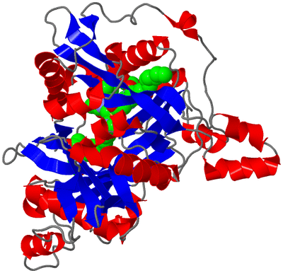 Image Asym./Biol. Unit