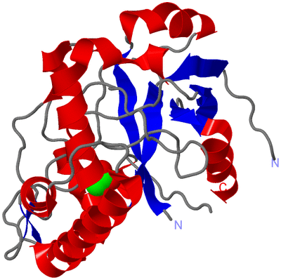 Image Asym./Biol. Unit