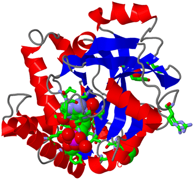 Image Asym./Biol. Unit - sites