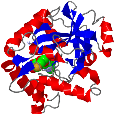 Image Asym./Biol. Unit