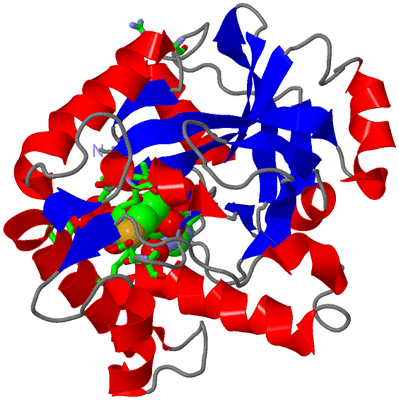 Image Asym./Biol. Unit - sites