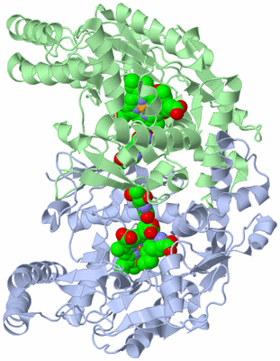 Image Asym./Biol. Unit