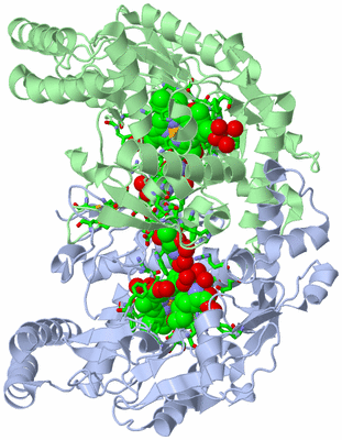 Image Asym./Biol. Unit - sites