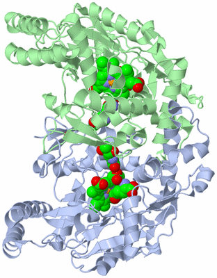 Image Asym./Biol. Unit