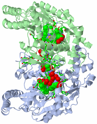 Image Asym./Biol. Unit - sites