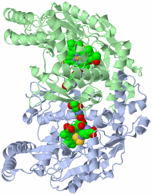 Image Asym./Biol. Unit