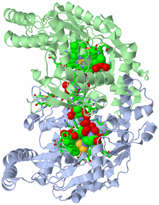 Image Asym./Biol. Unit - sites