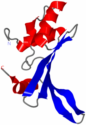 Image NMR Structure - model 1