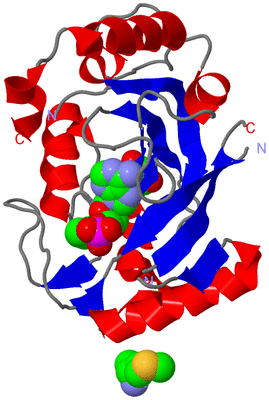 Image Asym./Biol. Unit