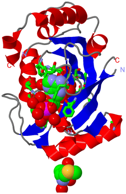 Image Asym./Biol. Unit - sites