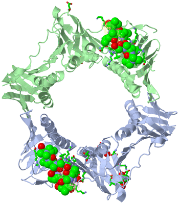 Image Asym./Biol. Unit - sites