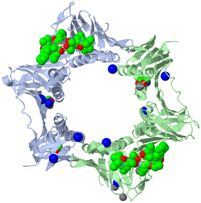 Image Biological Unit 1