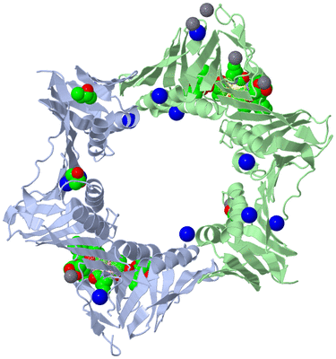 Image Biological Unit 2