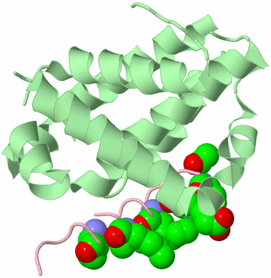 Image Biological Unit 2