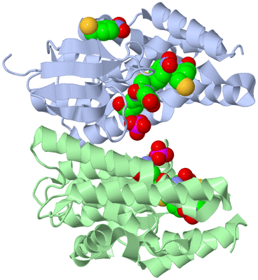 Image Asym./Biol. Unit