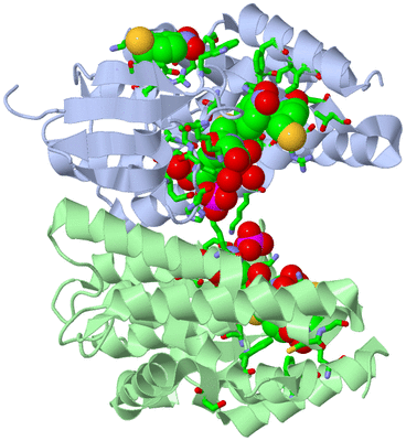 Image Asym./Biol. Unit - sites