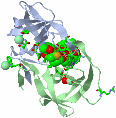 Image Asym./Biol. Unit - sites