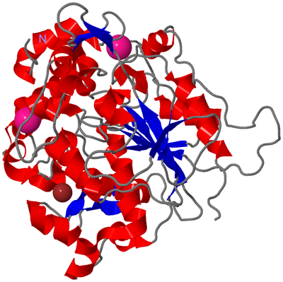 Image Asym./Biol. Unit