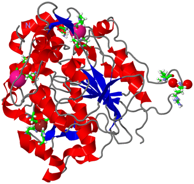 Image Asym./Biol. Unit - sites