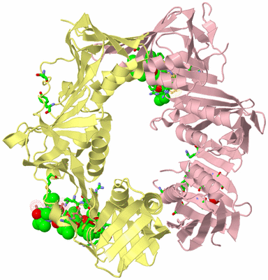 Image Biol. Unit 1 - sites