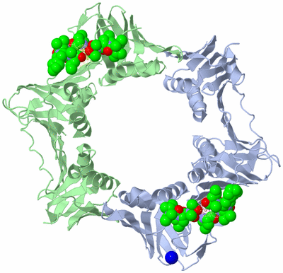 Image Biological Unit 2