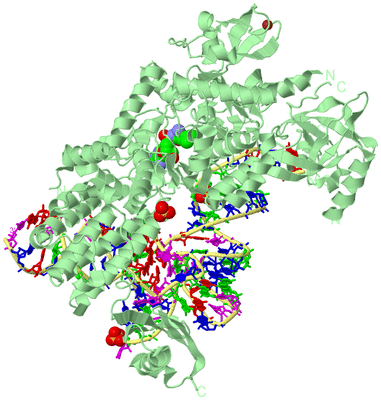 Image Biological Unit 1